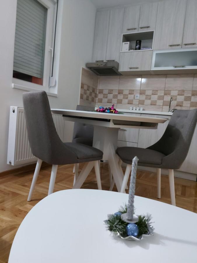 Vrnjacka Banja Apartman ภายนอก รูปภาพ